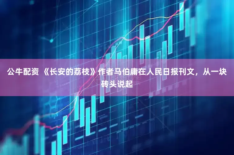 公牛配资 《长安的荔枝》作者马伯庸在人民日报刊文，从一块砖头说起