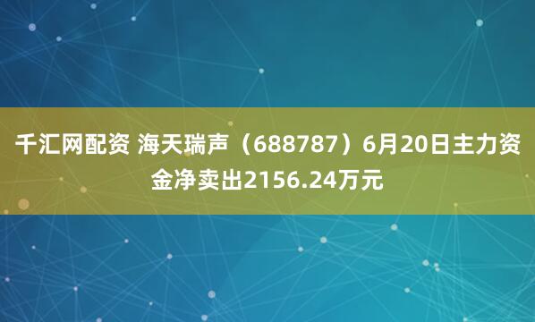 千汇网配资 海天瑞声（688787）6月20日主力资金净卖出2156.24万元